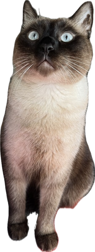 Bartolomiao