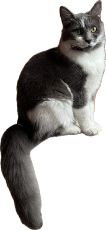Sibilla (Siby)